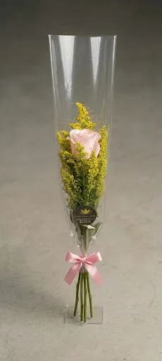 ROSA ESPECIAL ROSA